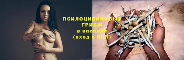 дурь Зеленокумск
